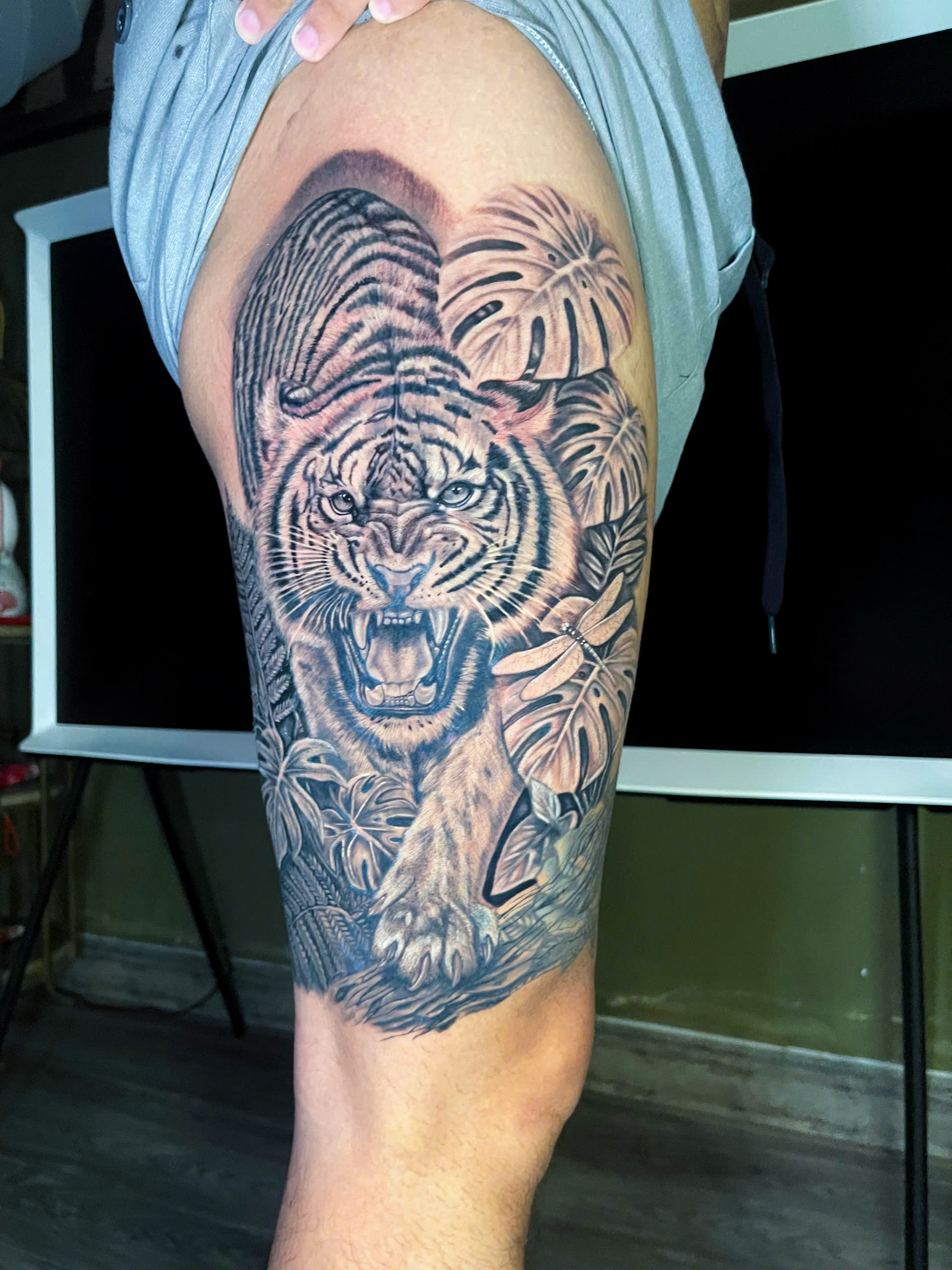Hổ